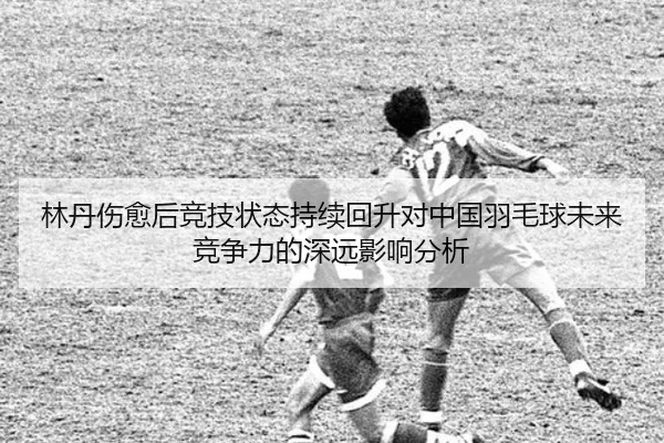 林丹伤愈后竞技状态持续回升对中国羽毛球未来竞争力的深远影响分析